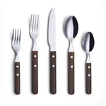 Annova Silverware Set 20 Pieces Stainless Steel Color Handle With Rivet/retro.... Fixed Price $51.76.