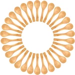 Small Wooden Spoons 50 Pcs Mini For Body Scrubs/sugar Scrubs/spice. Fixed Price $23.85.