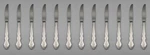 Set Of Twelve - Oneida Stainless Flatware Satin Dover Dinner Knives New. Fixed Price $49.99.