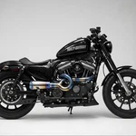 Pipes Exhaust Custom Fit Harley Davidson Sportster Iron 883 1200 - Into. Fixed Price $350.00.