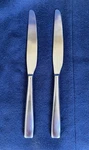 Set Of 2 Oneida AA-16 Satin Brushed Knives. Fixed Price $13.45.